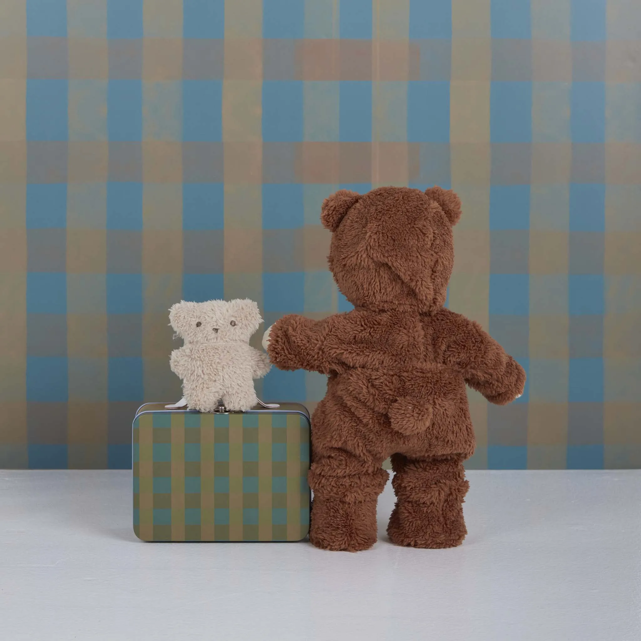 Dinkum Dolls Pretend Pack - Teddy