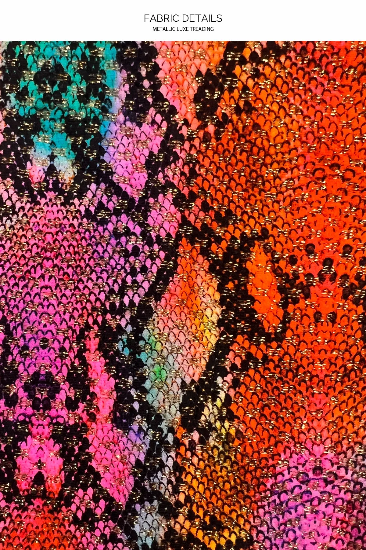 ELECTRIC SKIN - Seamless Triangle Top & Seamless Full Bottom • Multicolor