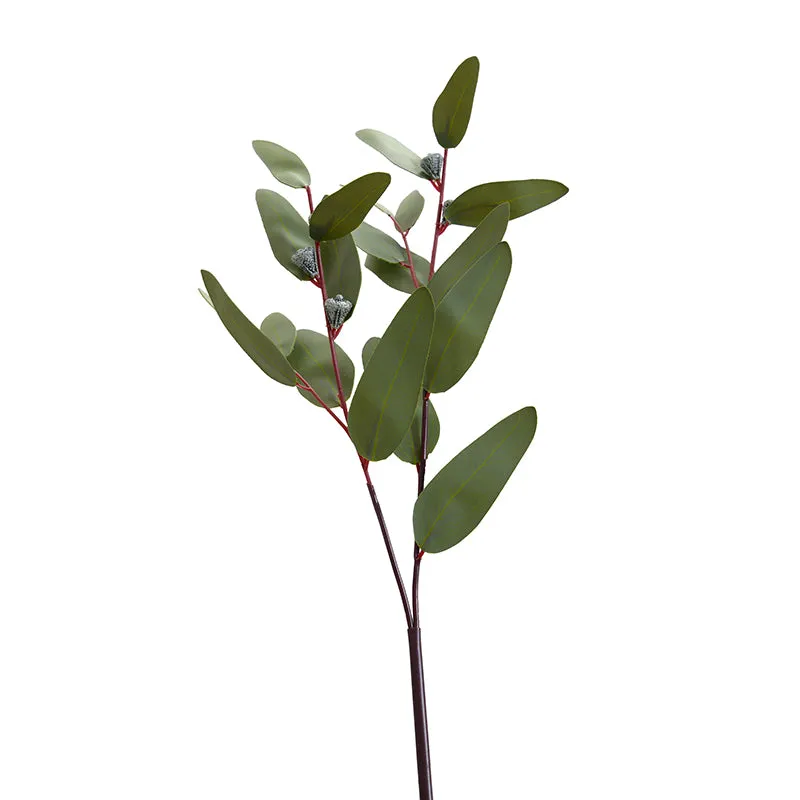 Eucalyptus seeded greenery spray, 28"L