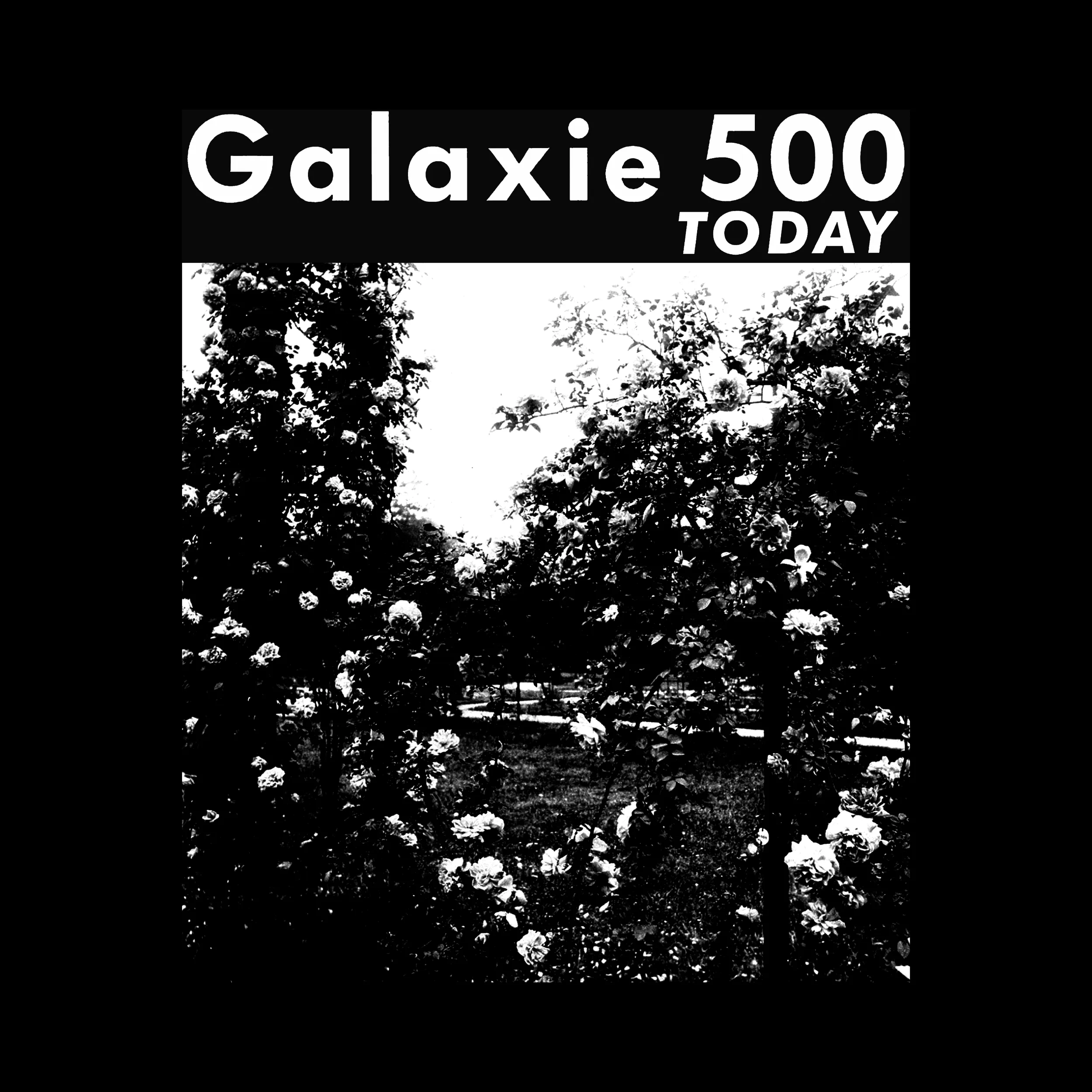 Galaxie 500 Today Slim Fit Tee