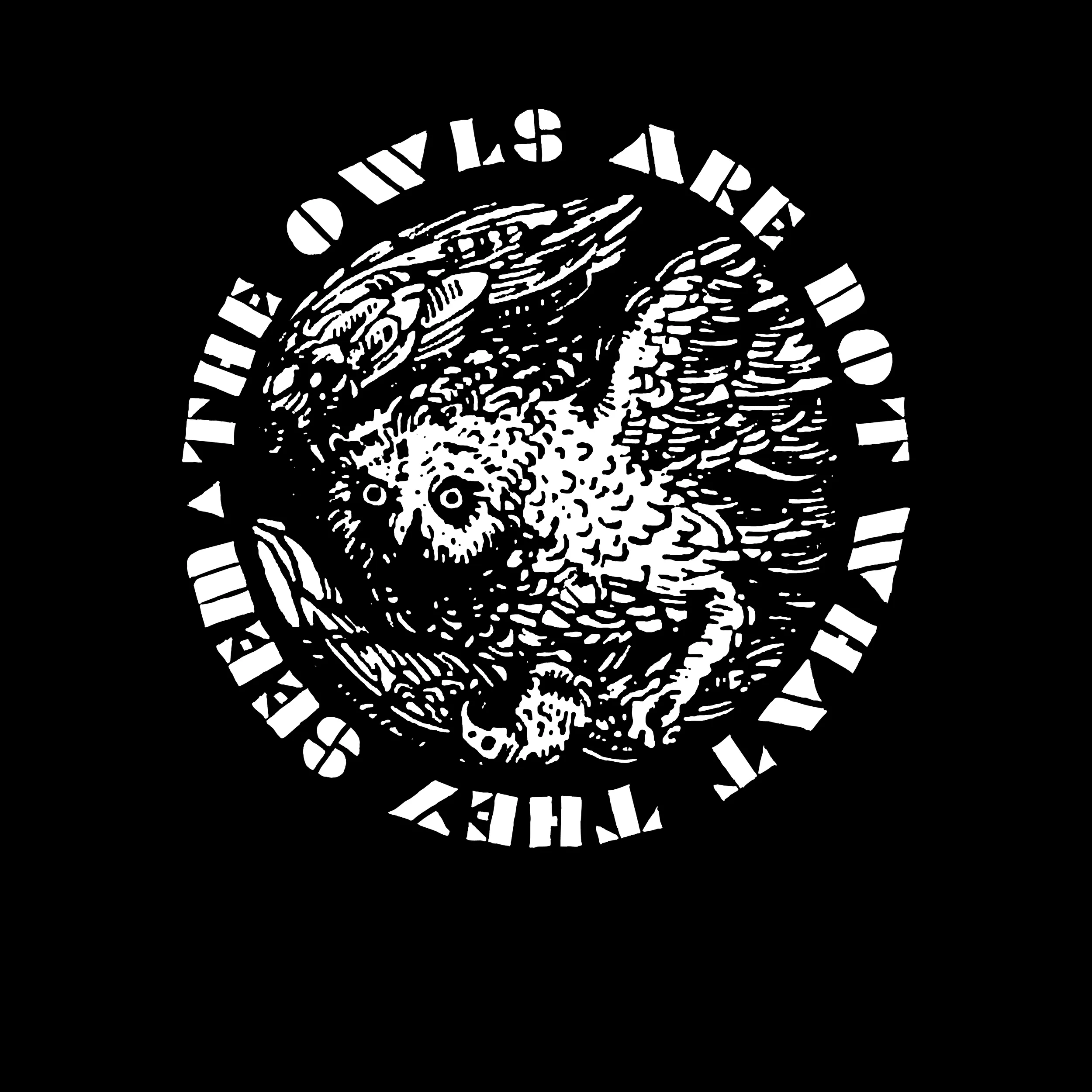 The Owls Are Not What They Seem Slim Fit Tee